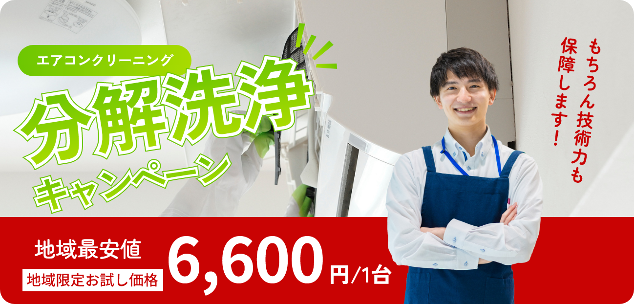 ハウスクリーニングのプロにお任せ